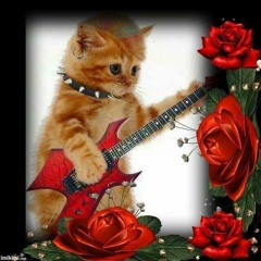 guchi polo sin la parte caca [prod.fokiwa]