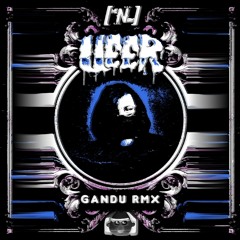 VEER - GANDU / RMX