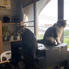 หนึ่งในดวงใจ - the impossible(cover) - GLASSES AND THE MOON