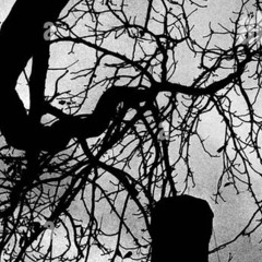 PRIEST IN LOVE // FIRST ARSCH