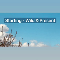 Essential Dance - 27.3.25 Set Starting Wild & Present