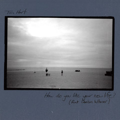 How Do You Like Your New Life? (feat. Denison Witmer)