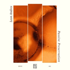 PREMIERE: Leon Andres - Pacific Tool (Bekkler Remix) [BKHSX005]