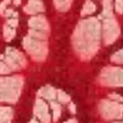 cinema (prod. $lxwOMG)