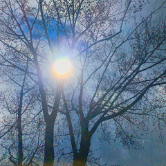 Discord x Apollo Jfree