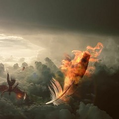 Porter Robinson - Get Your Wish (dolltr!ck Flip) (Live)