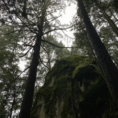 Bury Me Beneath The Willow Tree (ft. Cassiopeia)