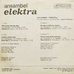 Kadri Hunt & Elektra - Lilleneiu