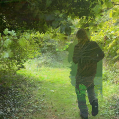 Recollection 1.3.5.