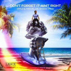 Diplo & Miguel vs. Shane Codd - Don't Forget It Ain't Right (LODATO Bootleg)