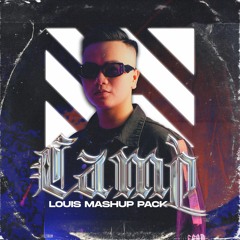 Making My Golden Pineapple For You - Louis Mashup (Radio Edit)