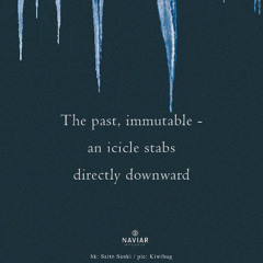 The past, immutable  (Naviarhaiku 588 )