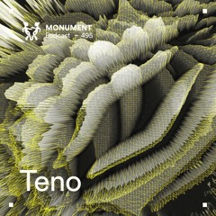 MNMT 495 : Teno