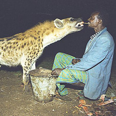 Dracula (nxnproducer)