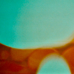 Sharnie - 10 November 2025