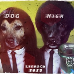 DOG HIGH-2023-10-29_up to bpm123