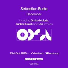 Sebastian Busto - December (Zankee Gulati Remix) [onedotsixtwo]