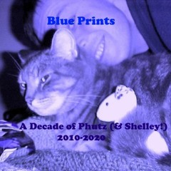 Blue Prints: A Decade of Phutz (originals)