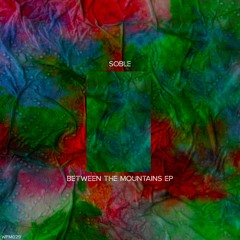 PREMIERE : Soble - The Forest (Samaha Remix) [Wildfang Music]