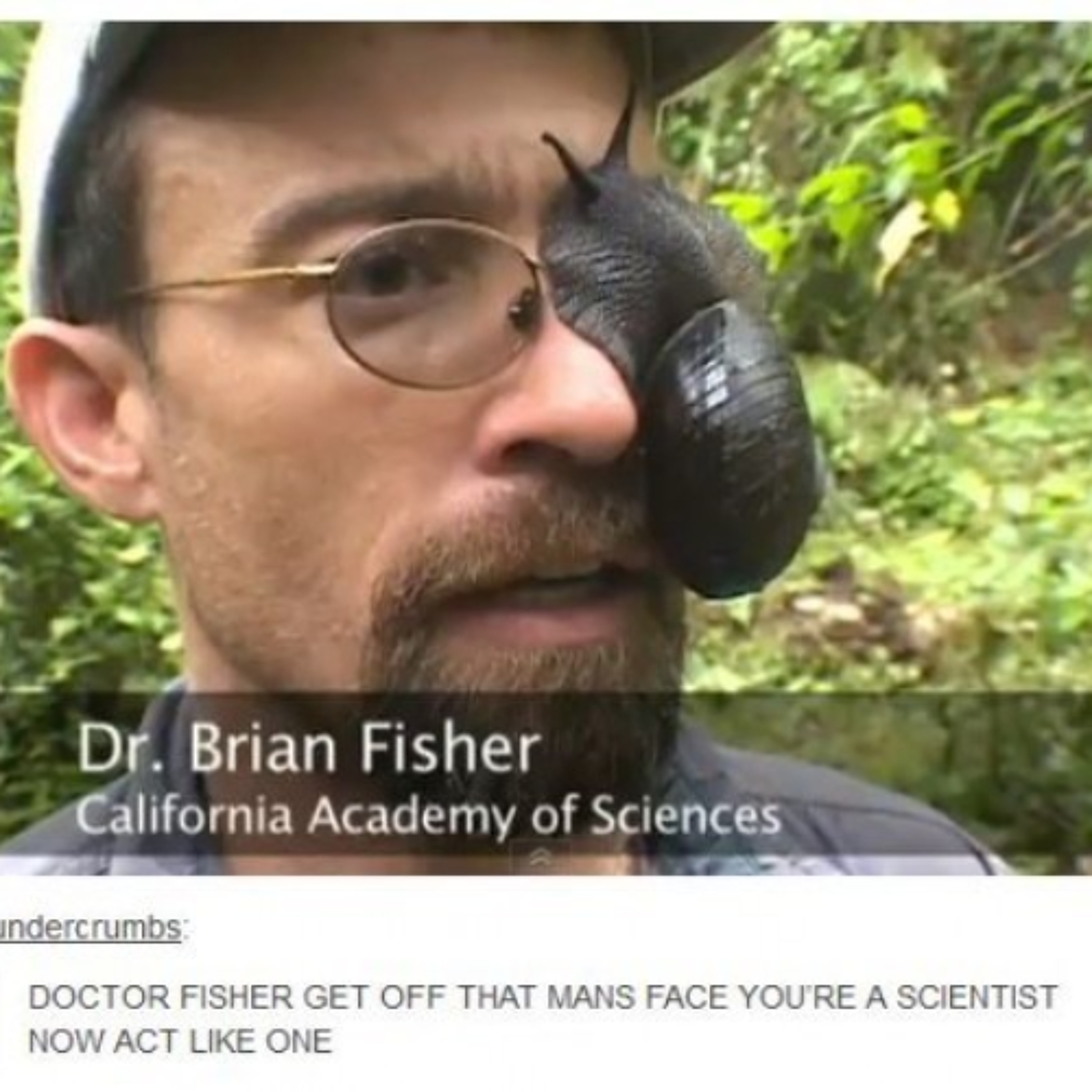 DOCTOR FISHER GET OFF THAT MAN'S FACE! ft. Dr. Brian Fisher episode artwork