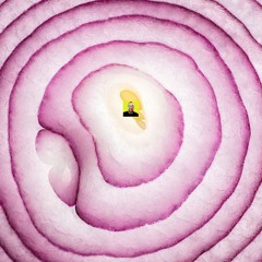 "Onion" Ft. Max_Dong, Prod. by RoostR Music