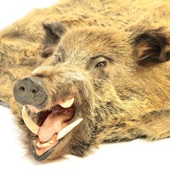 the great nosebleed of 1991