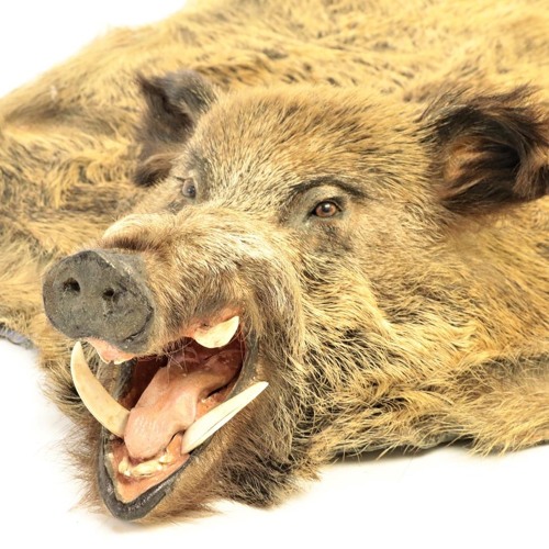 the great nosebleed of 1991