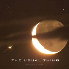 THE USUAL THING