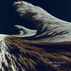 BDT Podcast 075 - BRML