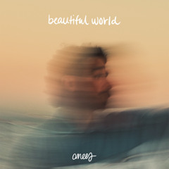 beautiful world