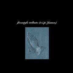 freestyle tribute (rip james)