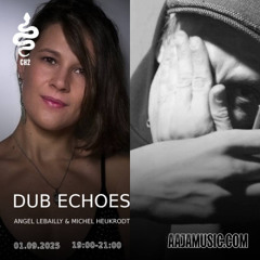 Dub Echoes - Aaja channel 2 - 01 09 25