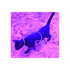 Asesina - La factoria ( Gataclub/Deva Unofficial Remix )