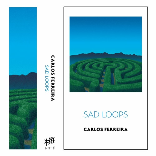 Carlos Ferreira ~ Sad Loops (snippets)