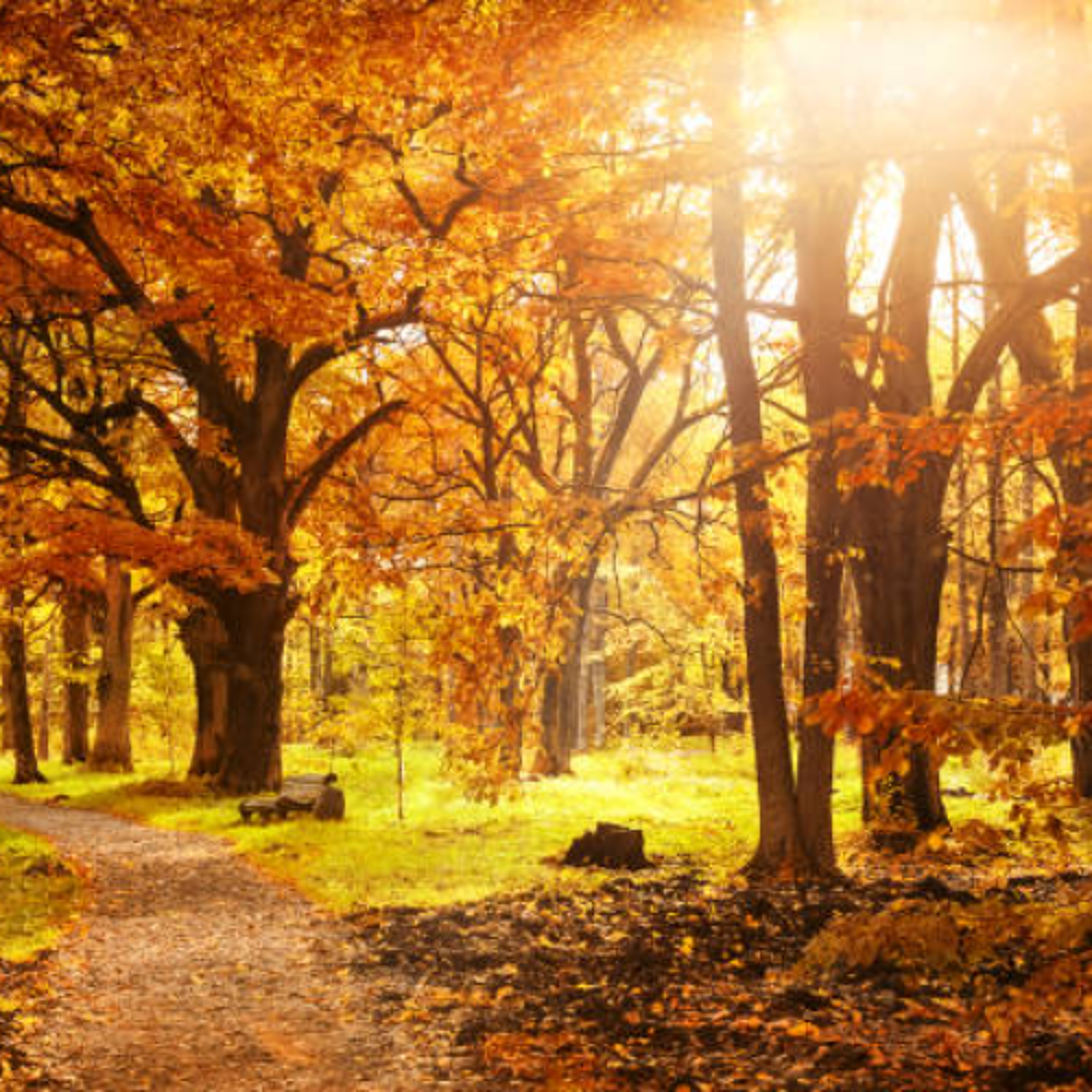 Autumn Promo's & Bootleg's (Compiled & Mixed by JW)