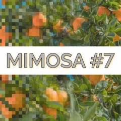 Mimosa Morning Mix #7