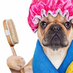 Clean Breaks 2023 Vol 1