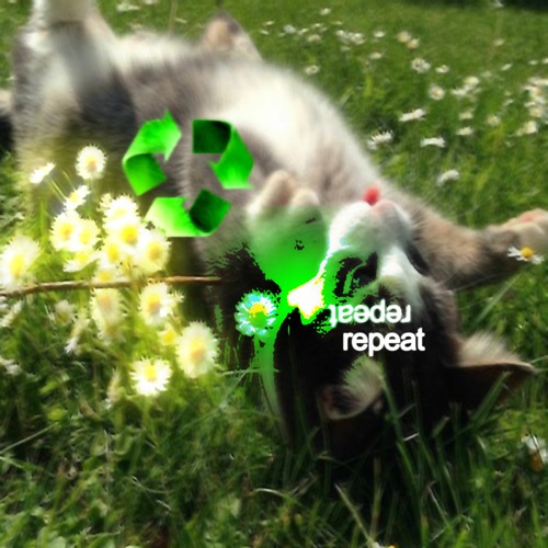 repeat feat dolly