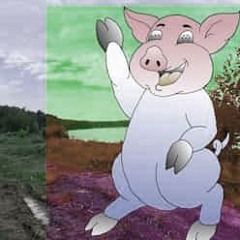 GREEN SKY EYELESS PIG