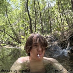 demise prod xai