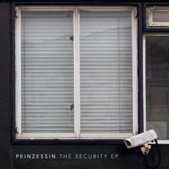 Prinzessin: Minimum Security - guinæpig Remix