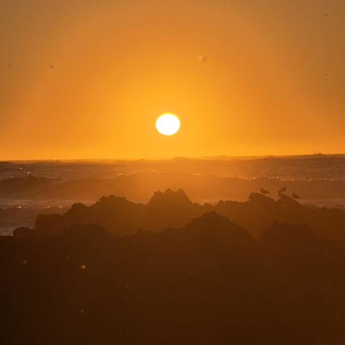 How I Became Your Fool