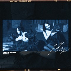FLEX - Yaar Kahlon (prod. Sznny)