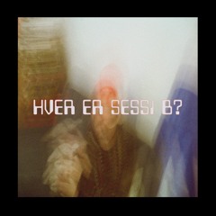 Hver er Sessi B?
