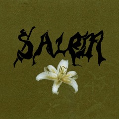 (S4LEM) - whorse