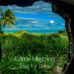 Carlos Medmon True For Days