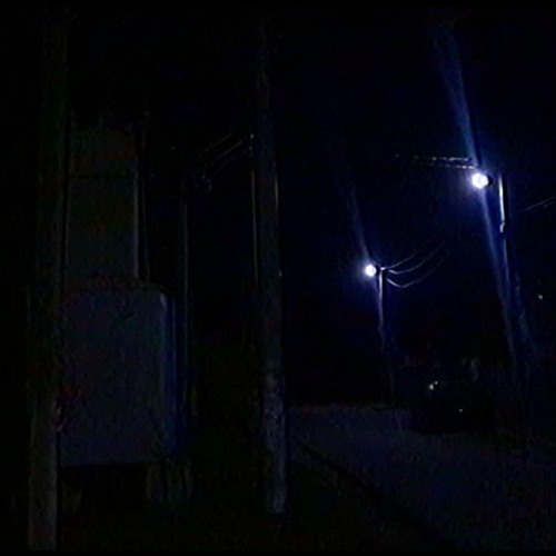 Lookin’ for da Chewin’