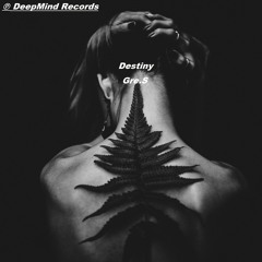 Gre.S - Destiny (Original Mix)