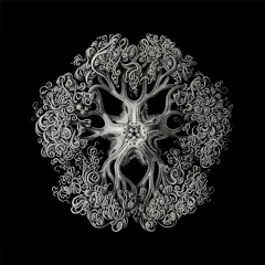 PREMIERE: Lagardere - Nightish Nature (Original Mix) [Vanina Hänin]