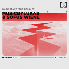 Dark Space (Raptures. Remix)